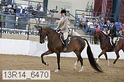 13r14_6470 thumbnail
