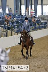 13r14_6472 thumbnail