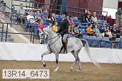 13r14_6473 thumbnail