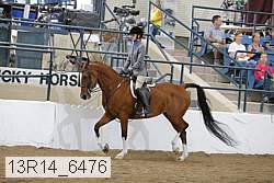 13r14_6476 thumbnail