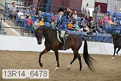 13r14_6478 thumbnail