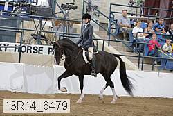 13r14_6479 thumbnail