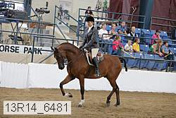13r14_6481 thumbnail