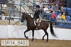 13r14_6482 thumbnail
