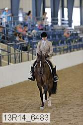 13r14_6483 thumbnail