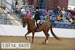 13r14_6485 thumbnail