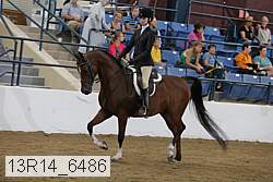 13r14_6486 thumbnail