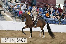 13r14_6487 thumbnail