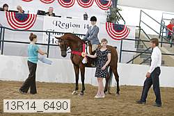 13r14_6490 thumbnail