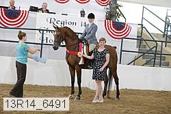 13r14_6491 thumbnail