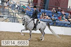 13r14_6683 thumbnail
