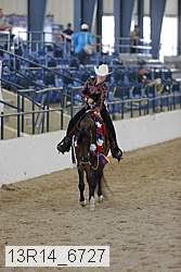 13r14_6727 thumbnail
