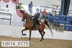 13r14_6775 thumbnail