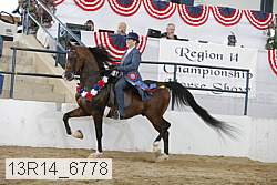 13r14_6778 thumbnail