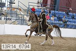 13r14_6794 thumbnail