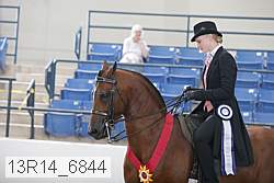 13r14_6844 thumbnail