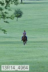 13r14_4964 thumbnail