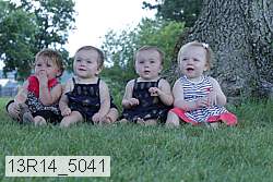 13r14_5041 thumbnail