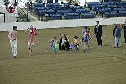 13r14_4478 thumbnail