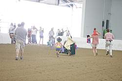 13r14_4481 thumbnail