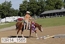 13r14_1565 thumbnail