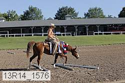 13r14_1576 thumbnail