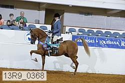 13r9_0368 thumbnail