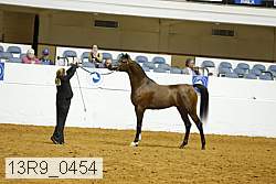 13r9_0454 thumbnail