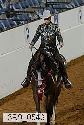 13r9_0543 thumbnail
