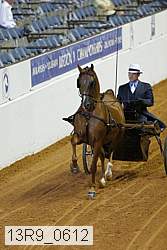 13r9_0612 thumbnail