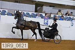 13r9_0621 thumbnail