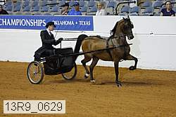 13r9_0629 thumbnail