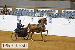 13r9_0630 thumbnail