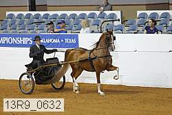 13r9_0632 thumbnail