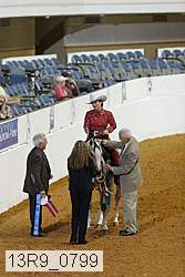 13r9_0799 thumbnail