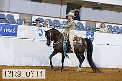 13r9_0811 thumbnail