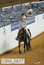 13r9_0817 thumbnail