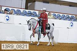 13r9_0821 thumbnail