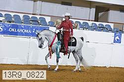 13r9_0822 thumbnail