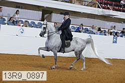 13r9_0897 thumbnail