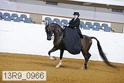 13r9_0966 thumbnail