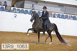 13r9_1063 thumbnail