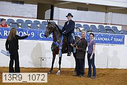 13r9_1072 thumbnail