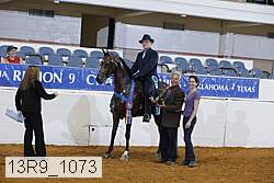 13r9_1073 thumbnail