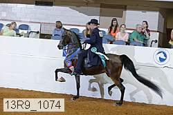 13r9_1074 thumbnail