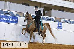 13r9_1077 thumbnail