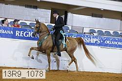 13r9_1078 thumbnail
