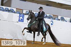 13r9_1079 thumbnail