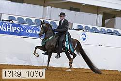 13r9_1080 thumbnail