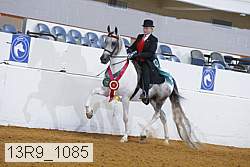 13r9_1085 thumbnail
